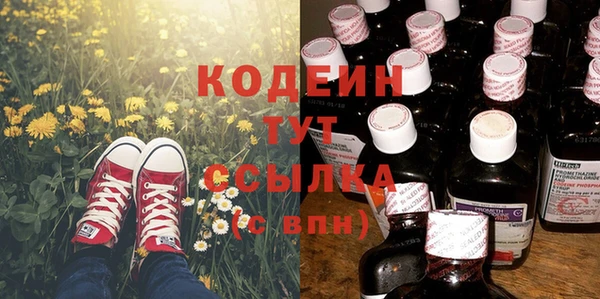 ешки Вяземский