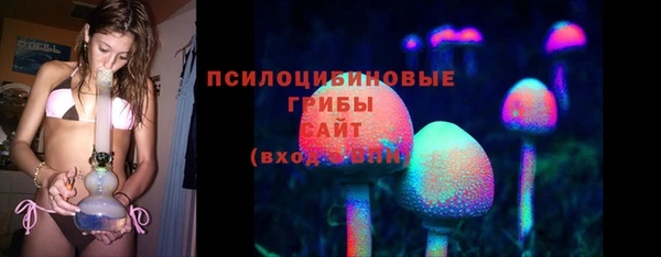 МДПВ Вязники