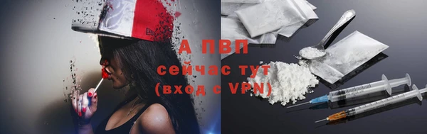 ешки Вяземский
