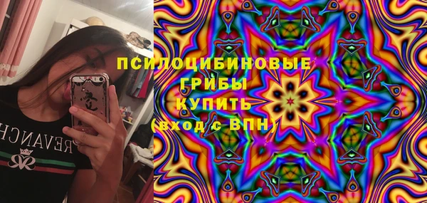 ешки Вяземский