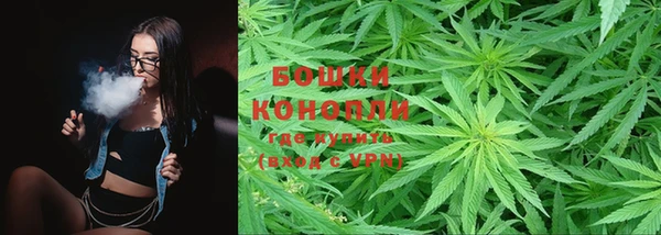 ешки Вяземский