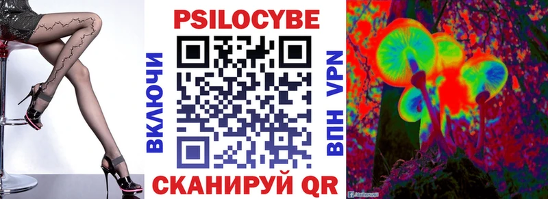 нарко площадка состав  сколько стоит  Грайворон  Галлюциногенные грибы Cubensis 