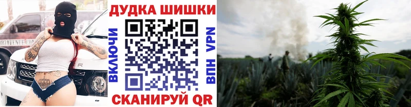 Бошки Шишки SATIVA & INDICA  omg ссылка  Грайворон 